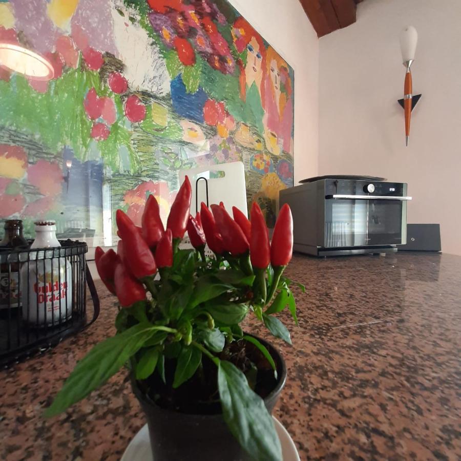 Loft Trabucco - In The Heart Of Salo City Center, Lake View, 4 Rooms エクステリア 写真